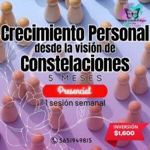 Sesiones semanales "Constelaciones Familiares – Transforma Tu Ser"